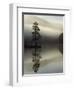 Scots Pine Tree Reflected in Lake at Dawn, Loch an Eilean, Scotland, UK-Pete Cairns-Framed Premium Photographic Print