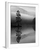 Scots Pine Tree Reflected in Lake at Dawn, Loch an Eilean, Scotland, UK-Pete Cairns-Framed Photographic Print