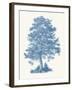 Scots Pine-Maria Mendez-Framed Giclee Print