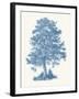 Scots Pine-Maria Mendez-Framed Giclee Print