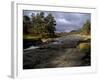 Scots Pines and Upper Dee Valley Near Inverey, Aberdeenshire, Highland Region, Scotland, UK-Patrick Dieudonne-Framed Photographic Print