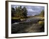 Scots Pines and Upper Dee Valley Near Inverey, Aberdeenshire, Highland Region, Scotland, UK-Patrick Dieudonne-Framed Photographic Print