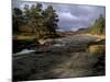 Scots Pines and Upper Dee Valley Near Inverey, Aberdeenshire, Highland Region, Scotland, UK-Patrick Dieudonne-Mounted Photographic Print