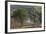 Scots Pines (Pinus Sylvestris) on Moorland. Abernethy Nnr, Cairngorms Np, Scotland, UK-Mark Hamblin-Framed Photographic Print