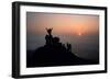 Scots Welcome Dawn on May Day at Arthur's Seat, 1984 (Photo)-Nathan Benn-Framed Giclee Print