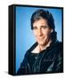 Scott Bakula-null-Framed Stretched Canvas