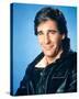 Scott Bakula-null-Stretched Canvas