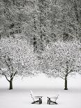 Snow covered landscape-Scott Barrow-Photographic Print