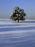 Snow covered landscape-Scott Barrow-Mounted Photographic Print