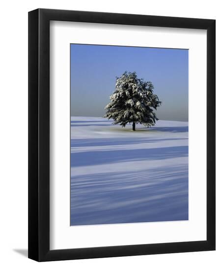 Photographic Print, , large
