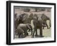 Black Frame