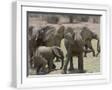 White Frame