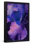 Essential Black