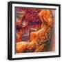 Black Frame