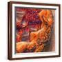 Brown Frame