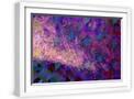 White Frame