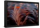Essential Black