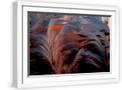 White Frame