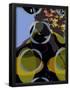 Essential Black