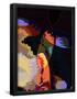 Essential Black