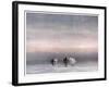 Scott Exercising the Ponies Through the Snow-Edward A. Wilson-Framed Art Print