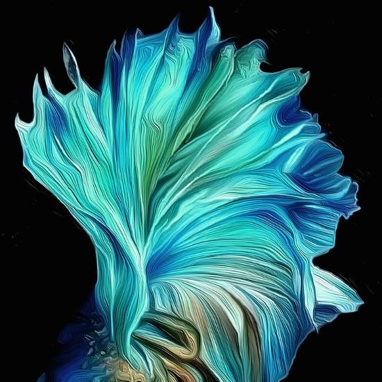 Premium Giclee Print, , large