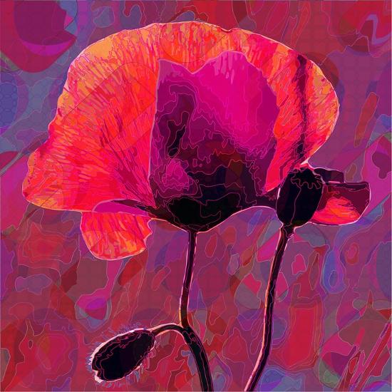 Giclee Print, , large