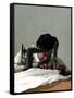 Canvas Black