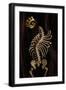 Black Frame