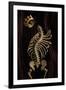 Gramercy Black