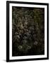 Gramercy Black