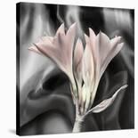 Clivia Pastel-Scott Peck-Framed Art Print