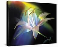 Clivia Pastel-Scott Peck-Stretched Canvas