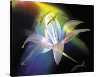 Clivia Pastel-Scott Peck-Stretched Canvas