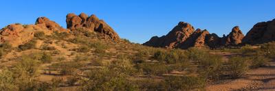 Arizona Desert-Scott Prokop Photography-Photographic Print