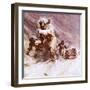 Scott's Expedition to the South Pole-McConnell-Framed Giclee Print