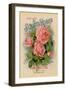 Scott's Roses and Other Beautiful Flowers-null-Framed Art Print