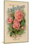 Scott's Roses and Other Beautiful Flowers-null-Mounted Art Print