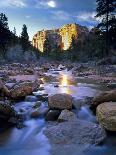 Bears Ears National Monument, Utah. USA. Creek in Arch Canyon. Manti-La Sal NF. Colorado Plateau.-Scott Smith-Photographic Print