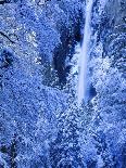 Bridal Vel Falls, Yosemite National Park, California, USA-Scott Smith-Stretched Canvas