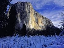 Bridal Vel Falls, Yosemite National Park, California, USA-Scott Smith-Stretched Canvas