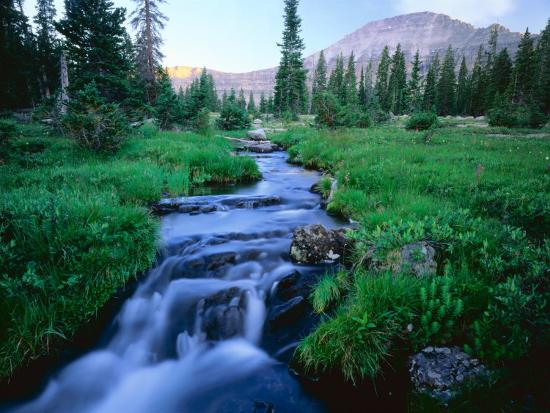 Premium Photographic Print, , large