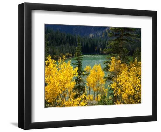 Premium Photographic Print, , large