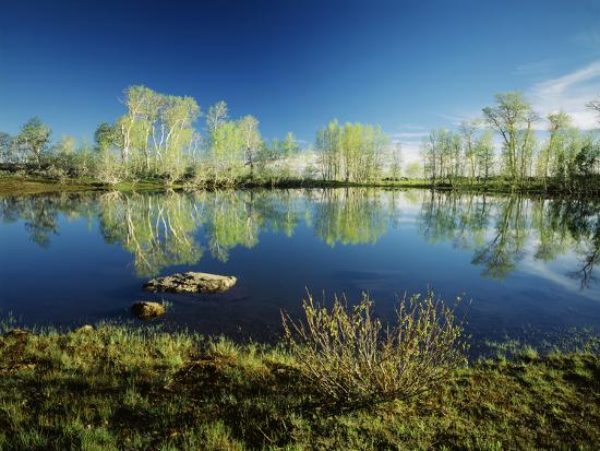 Premium Photographic Print, , large