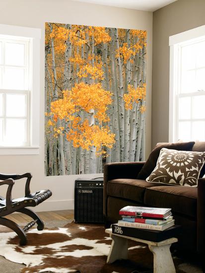 Giant Art Print, , large