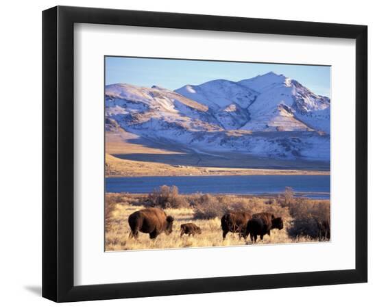 Premium Photographic Print, , large