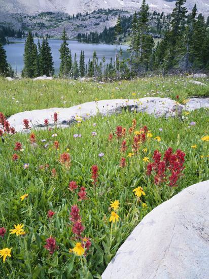 Photographic Print, , large