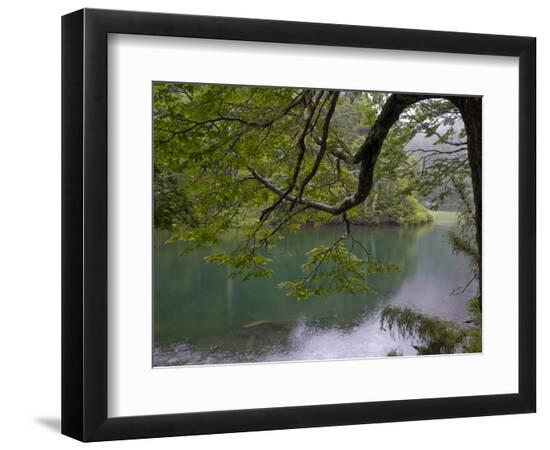 Premium Photographic Print, , large