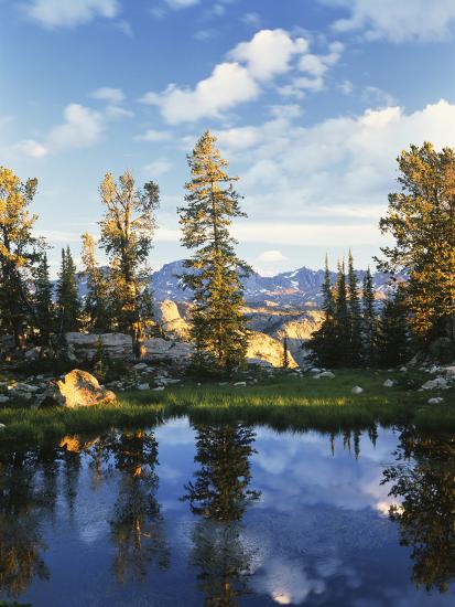 Premium Photographic Print, , large