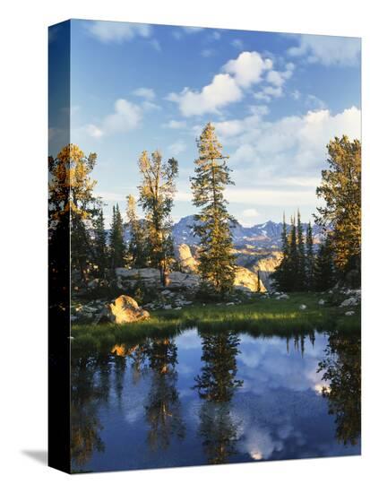 Stretched Canvas Print, , large